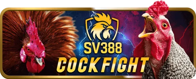 Quy trình đăng nhập me88